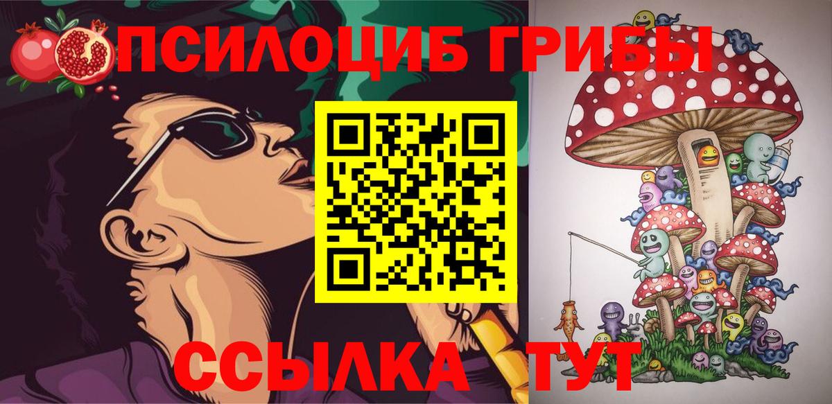 Грязи  Галлюциногенные грибы Magic Shrooms  Галлюциногенные грибы Magic Shrooms  Вход с VPN 